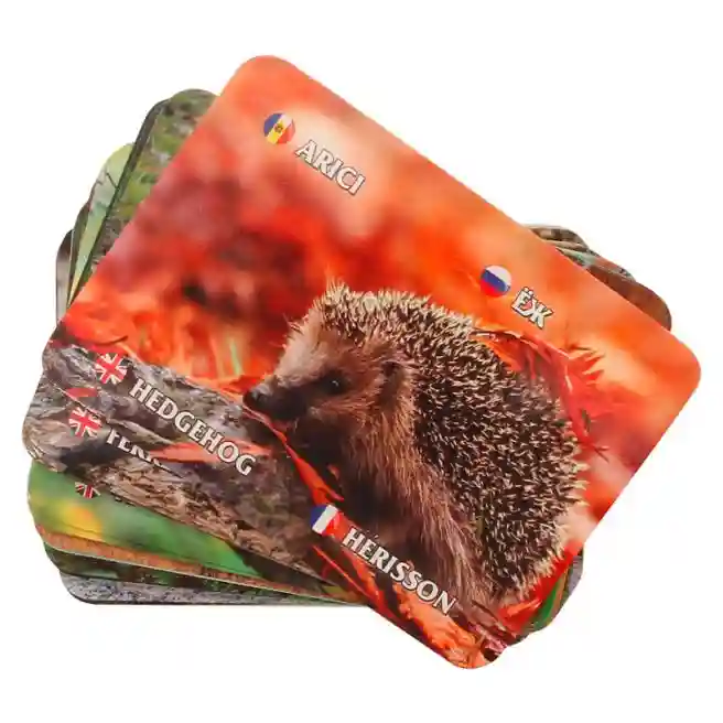 Joc de memorie. Animale de padure