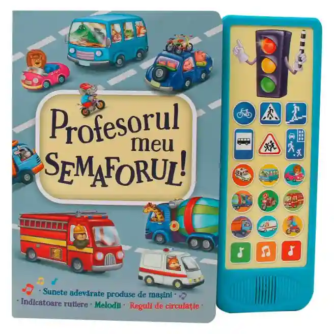 Profesorul meu Semaforul.