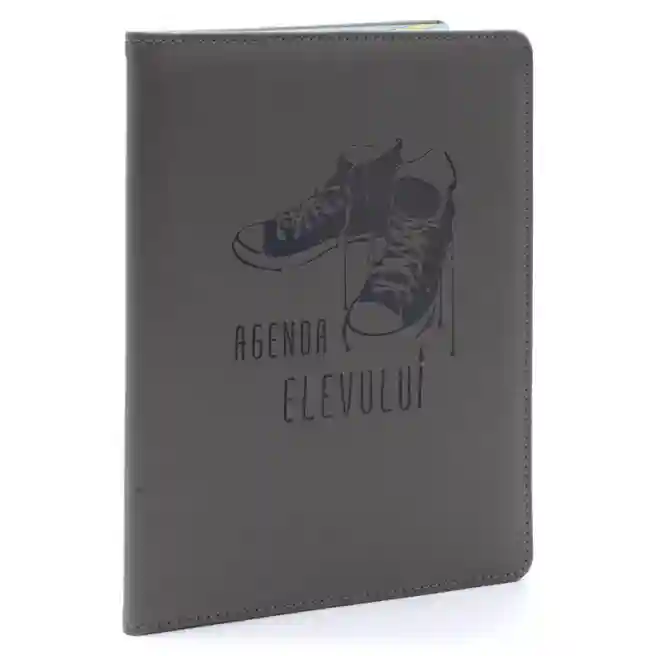 Agenda elevului IDEE gri