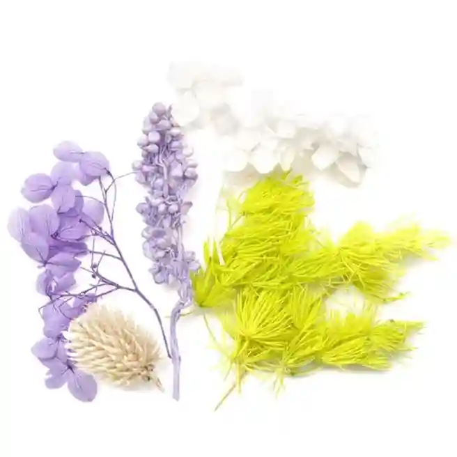 Set decor pentru creație, Flori uscate asortate, 5-10 cm