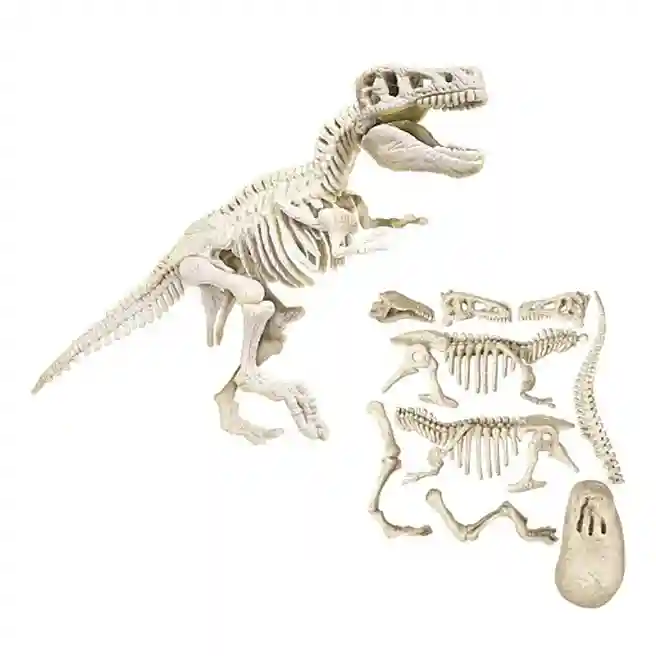 AS Set de joc Dinozaurul T-Rex RO, cod 60436
