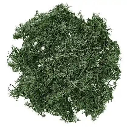 Декор для творчества, мох зеленый, 30 гр., арт. DPZA-035