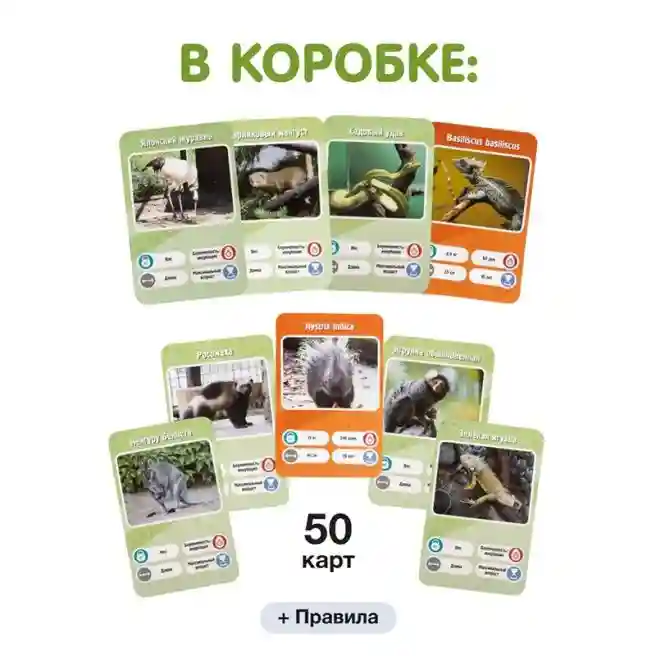 GG Настольная игра Это факт! Зоопарк, код 61168
