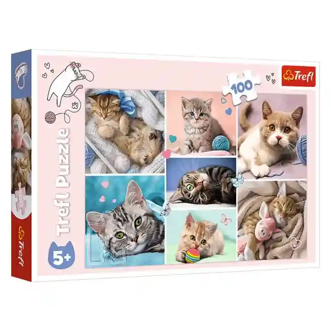 TF Puzzle "100" - In lumea pisicilor , cod 48766