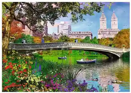 TF Puzzle - "1000" - "Central Park, New York / MGL", cod 41608
