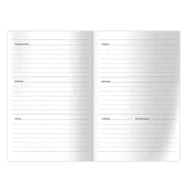 Carnet notițe A6 săptămâna 64 foi BG "Plan your plan", lac selectiv