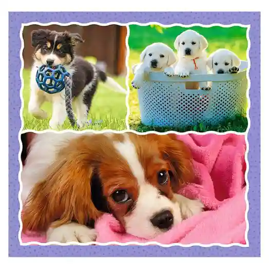 TF Cățeluși adorabili, 3 în 1, cod 47956
