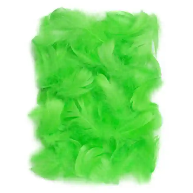 Pene decorative Verde, 5-12cm, 10gr