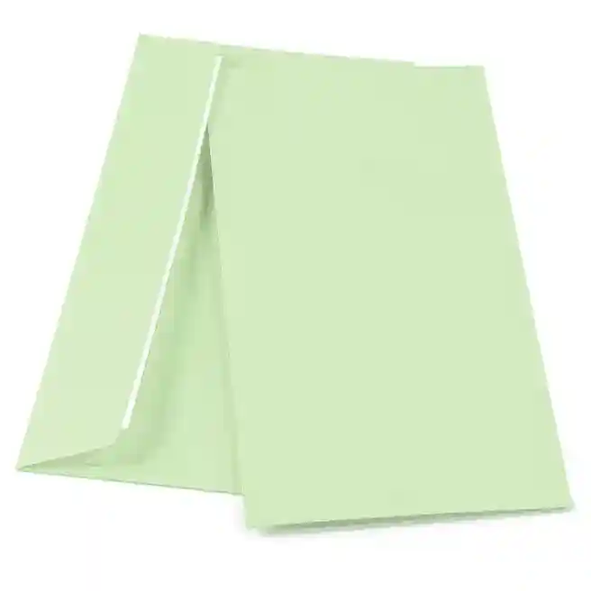 Plic DL SLK (110*220), color, verde deschis pastelat
