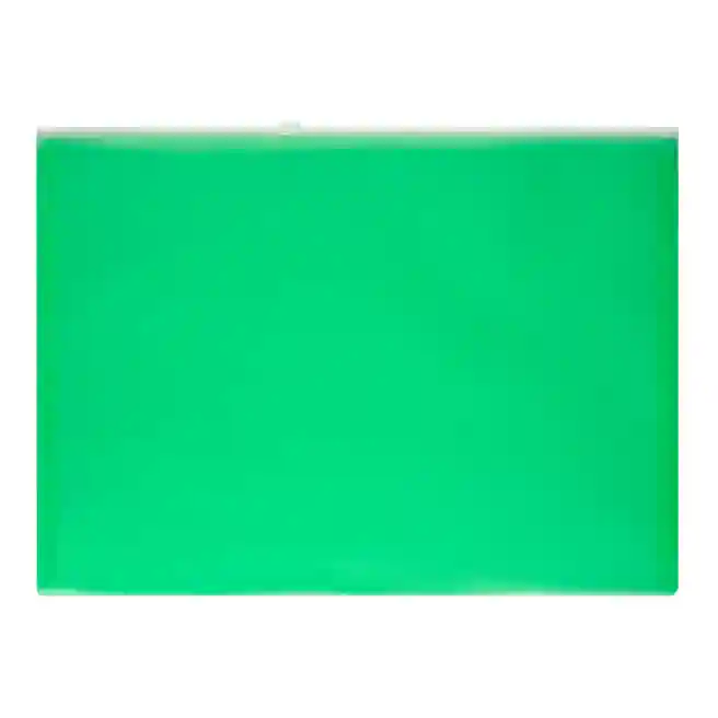 Папка-ZIP A4, PVC, полу-прозрачная, матовая, зеленая