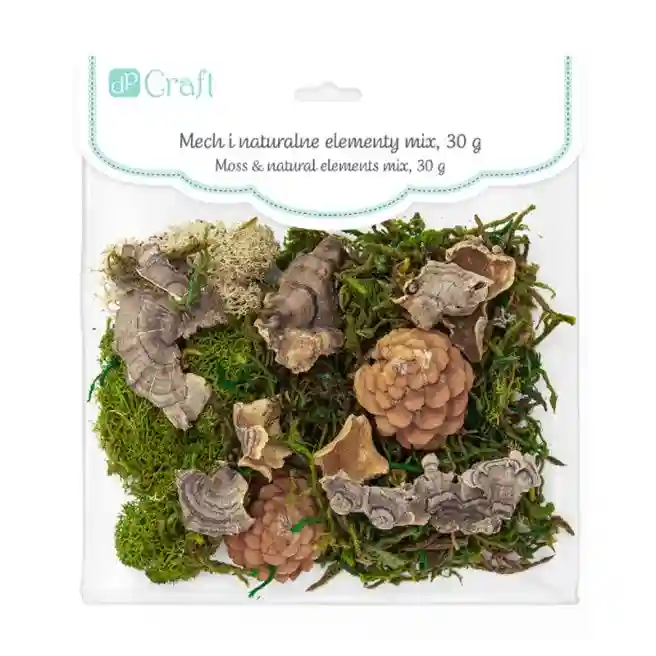 Decor pentru creație Darurile pădurii, 30 gr.