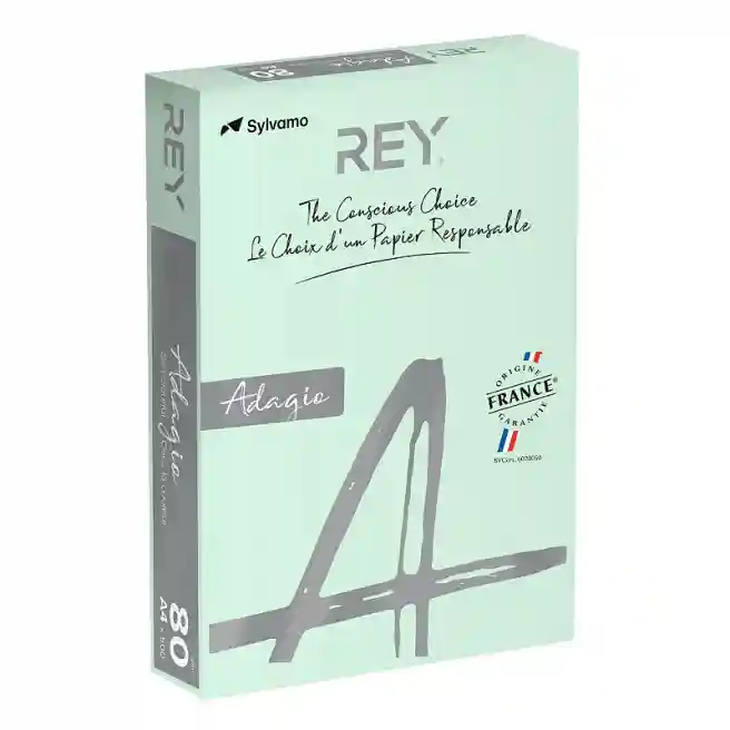 Hârtie colorată A4 ( 80gr/m2, 500 foi) pastel verde Adagio BRIGHT 81