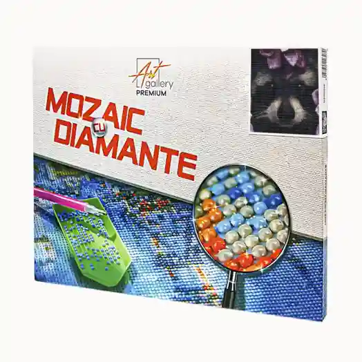 Raton, 30x40 cm, mozaic cu diamante