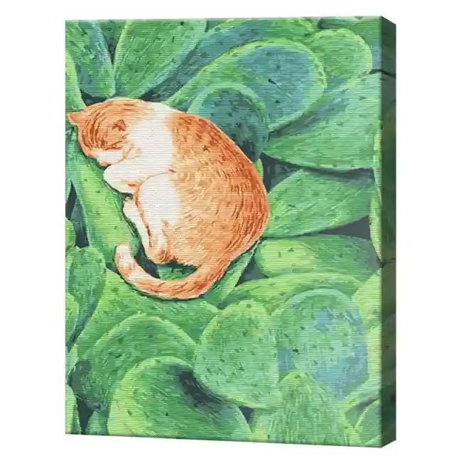 Котик спит на кактусе, 40x50 см, картина по номерам