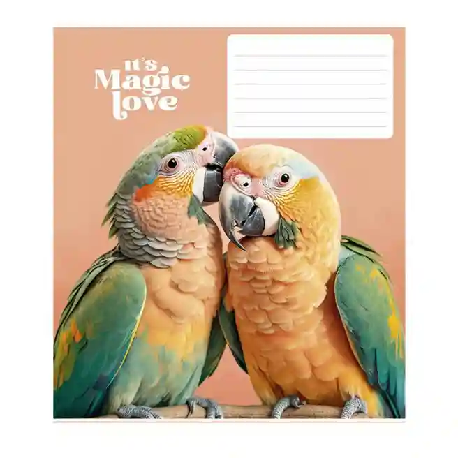 Тетрадь 24 листа, клетка, Star Its a magic love