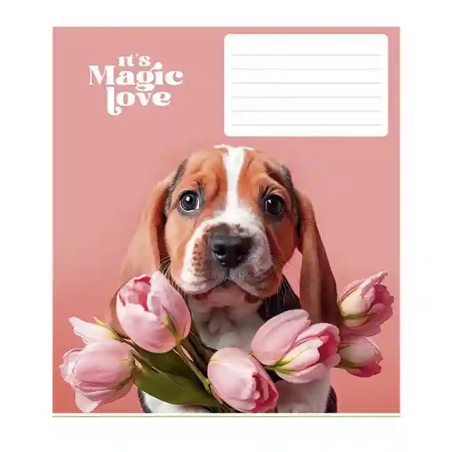 Тетрадь 24 листа, клетка, Star Its a magic love