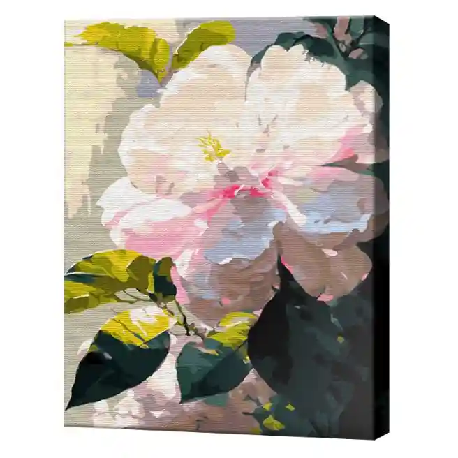 Floarea gingașă, 40x50 cm, pictură pe numere