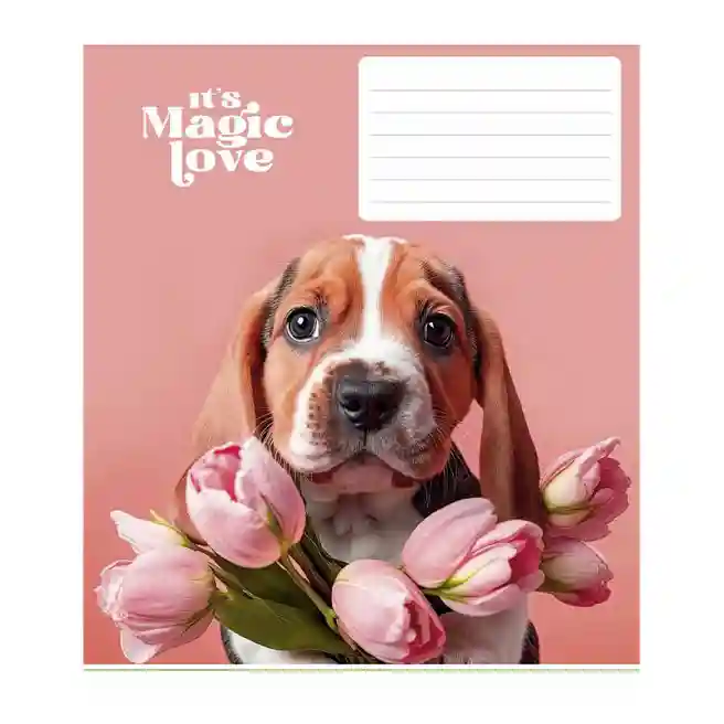 Тетрадь 12 листов, клетка, Star Its a magic love