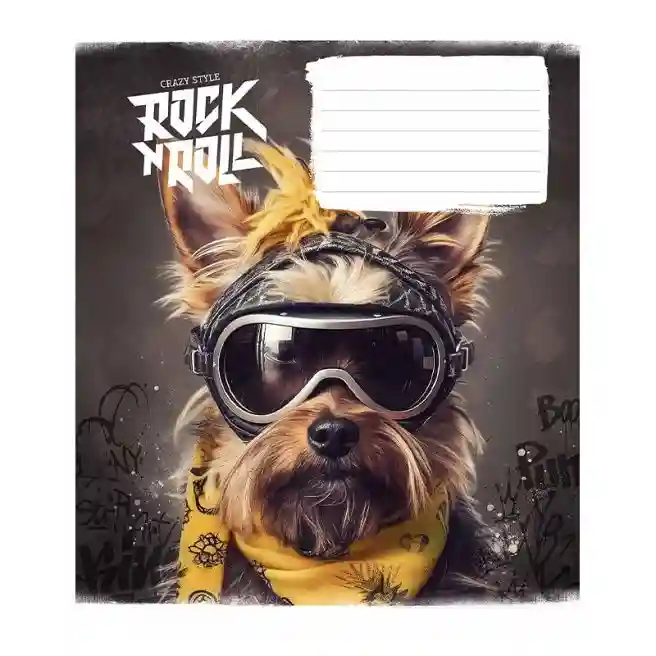 Caiet 12 foi, pătrățele, Star Rock star