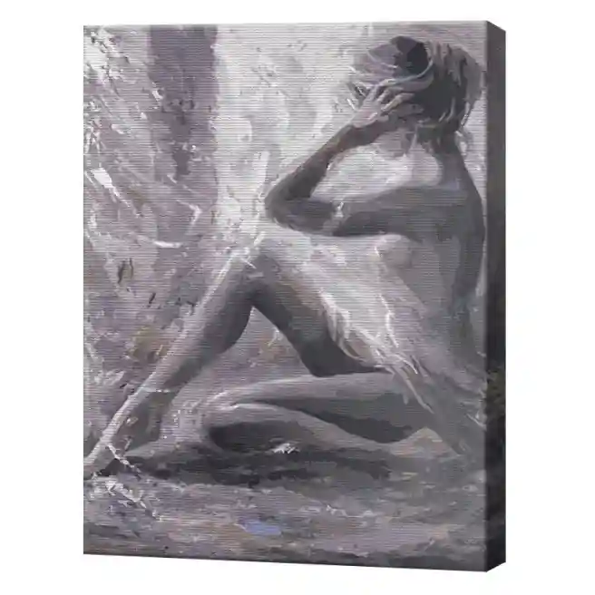 Siluetă în nuanțe gri, 40x50 cm, pictură pe numere