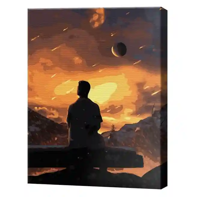 Cădere de stele, 40x50 cm, pictură pe numere
