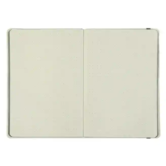 Carnet notite A5 puncte 96 foi Buromax coperta tare ETALON PU turcoaz