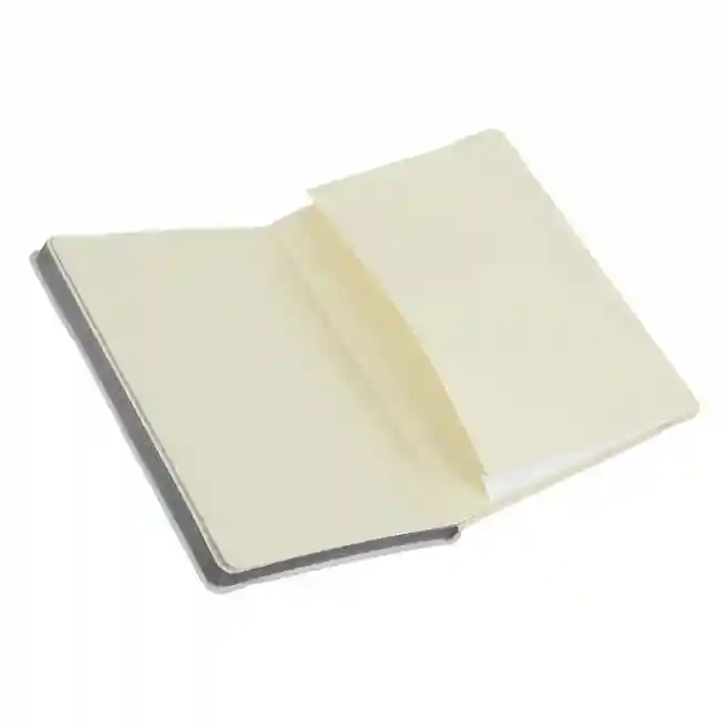 Carnet notite A5 puncte 96 foi Buromax coperta tare ETALON PU turcoaz
