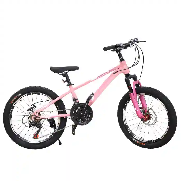 PH Bicicletă pentru copii cu 2 roți, 20 inch, roz, cod 6155
