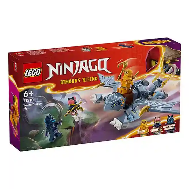 Конструктор LEGO Ninjago Молодой дракон Рию, арт. 71810