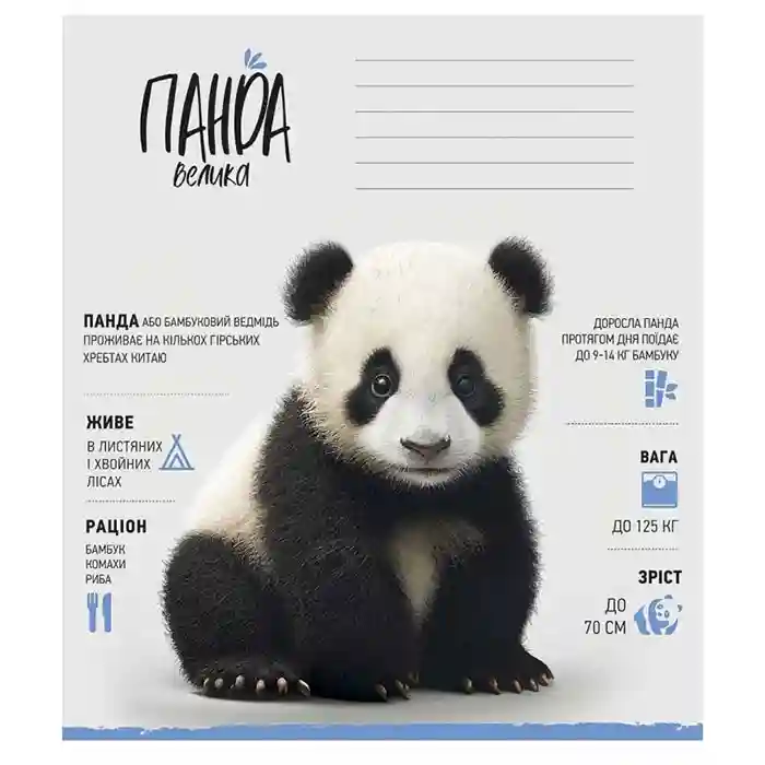 Caiet 12 foi linie Shkolyarik 3279 Wild world