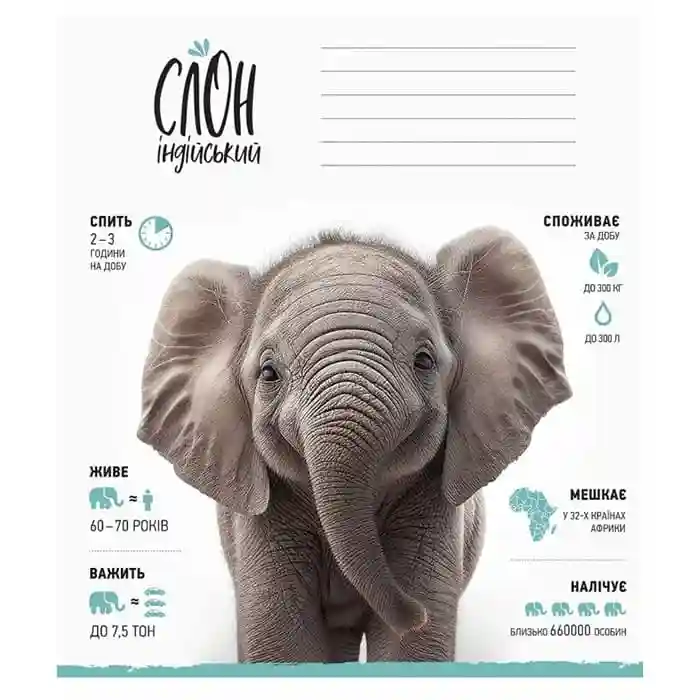 Caiet 12 foi linie Shkolyarik 3279 Wild world