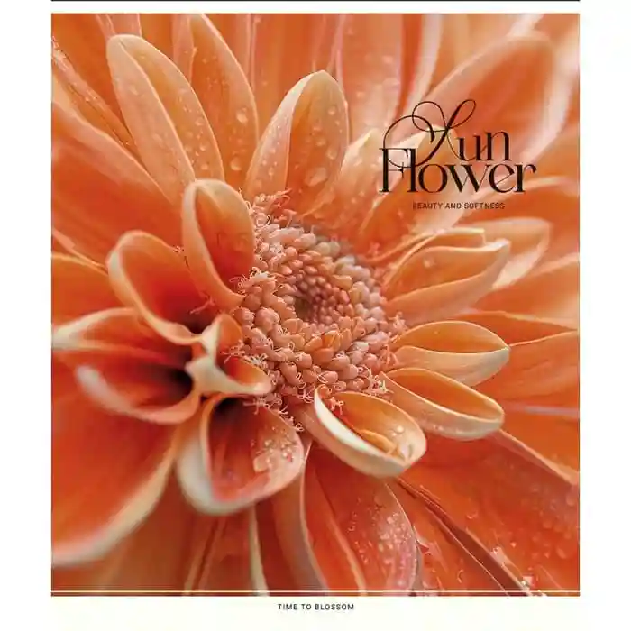 Тетрадь 48 листов клетка Школярик 3456 Sun Flower