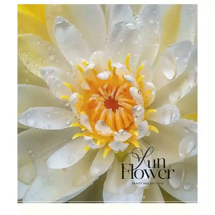Тетрадь 48 листов клетка Школярик 3456 Sun Flower