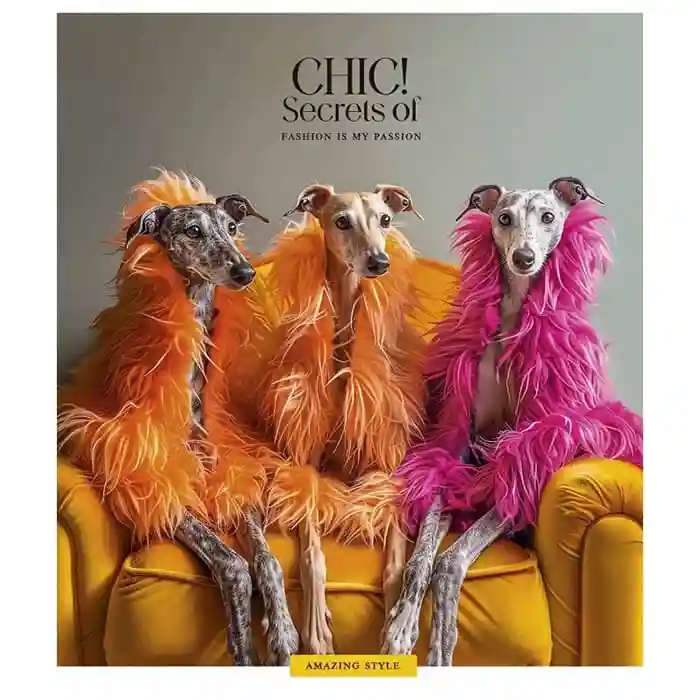 Caiet 60 foi pătrățele Shkolyarik 3458 Fashion chic
