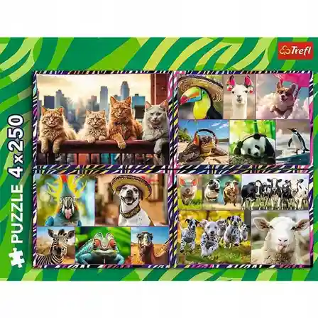 TF Puzzle "4x250” Animale vesele, cod 61793