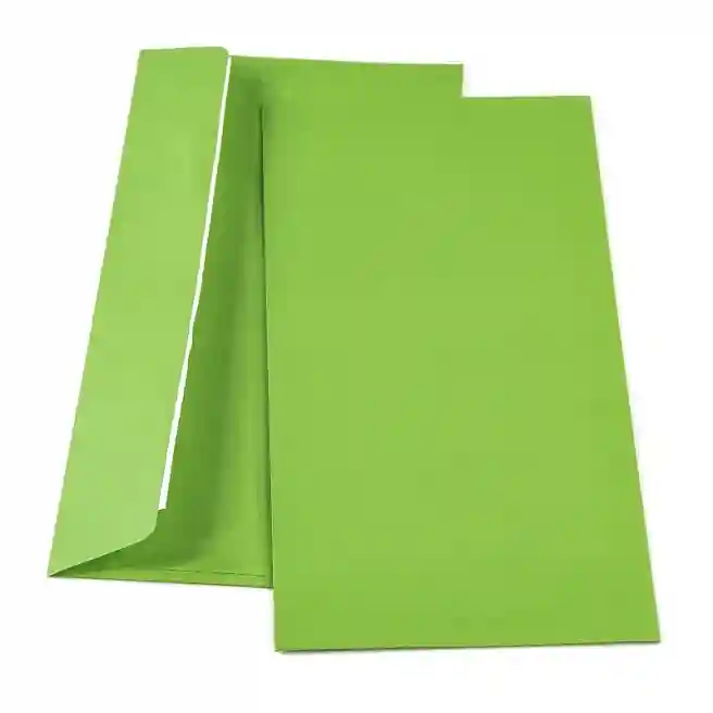 Plic DL SLK, (110*220), color, verde intens