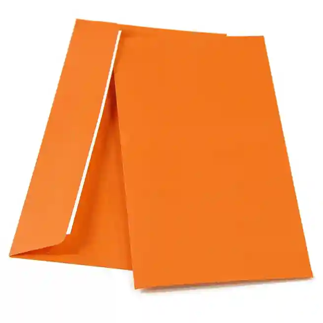 Plic DL SLK, (110*220), color, orange intens