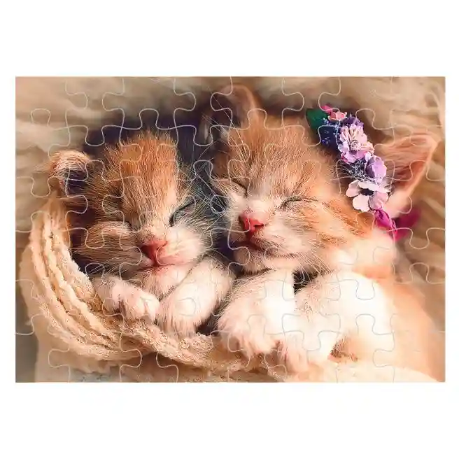 TF Пазлы "500" - "Sleeping Kittens", код 40306
