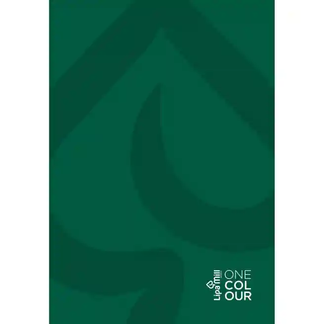 Caiet A4 192 f. pătrățele Mar Mar Office copertă tare verde