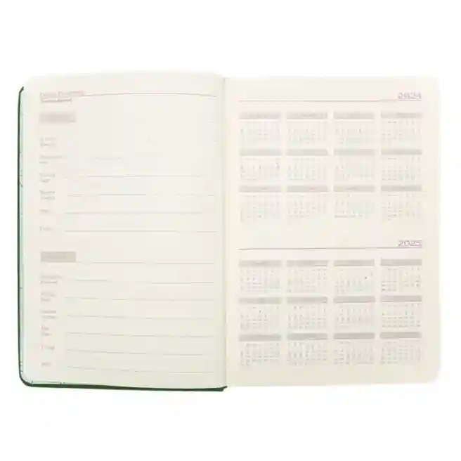 Agendă nedatată А5  IDEE Standart "Pine Green"