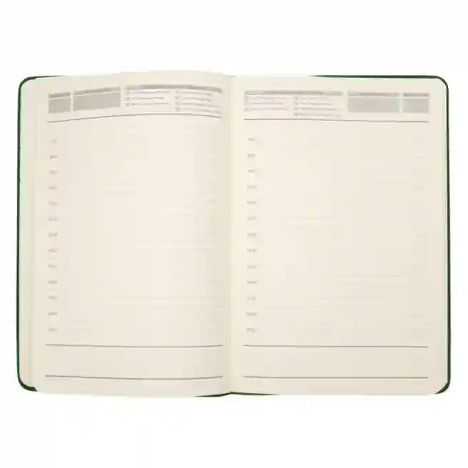 Agendă nedatată А5  IDEE Standart "Pine Green"