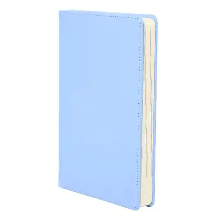Agendă А5 2026   IDEE Standart "Steel Blue"