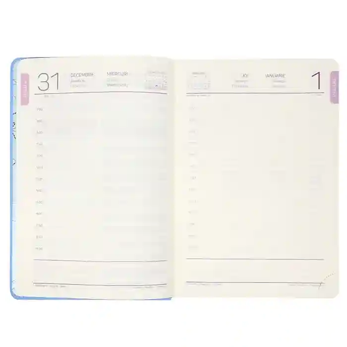 Agendă А5 2026   IDEE Standart "Steel Blue"