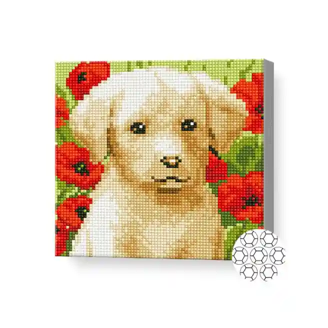 Алмазная мозаика 20x20 см Щенок в маковом поле