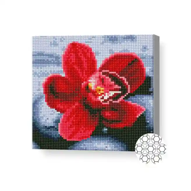 Алмазная мозаика 20x20 см Орхидея на камне