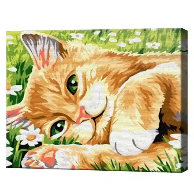 Motan roșcat în romanițe 20х30 cm, pictură pe numere