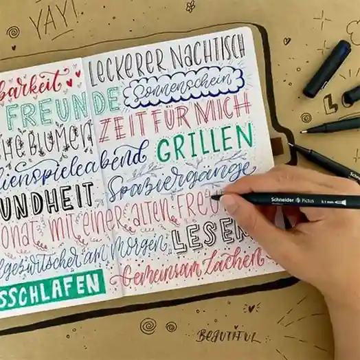 Pix Fineliner Pictus  0,3 mm Schneider
