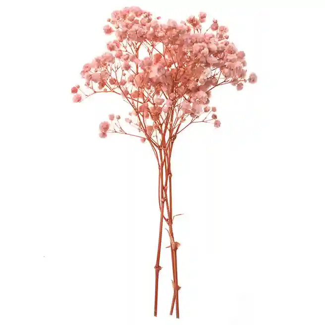 Décor Gypsophila, 4 buc, 20 cm, roz deschis