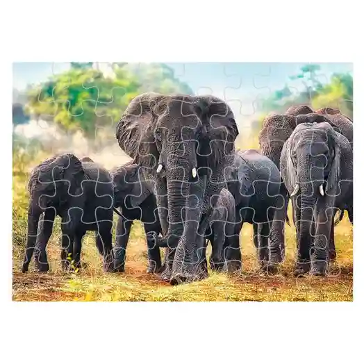 TF Пазлы "1000" - "African elephants", код 40519