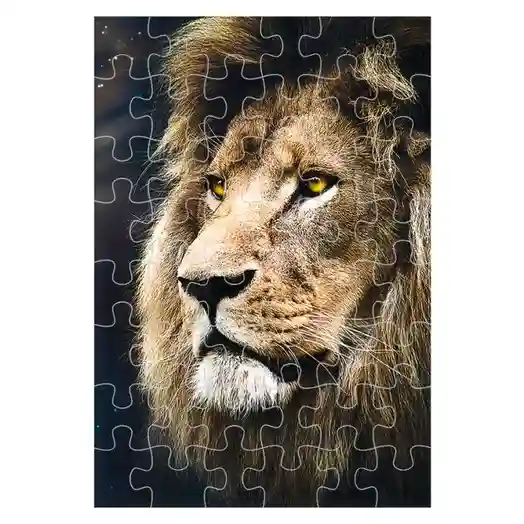 TF Пазлы "1500" - "Lions portrait", код 40374